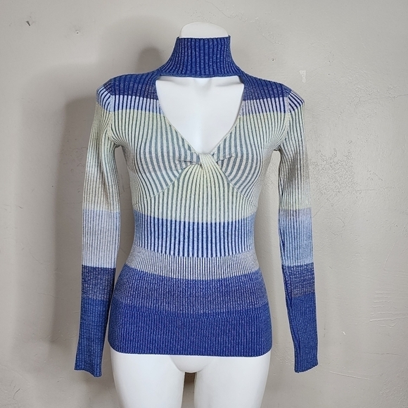 Jonathan Simkhai Blue Kat Space Dye Turtleneck Sweater Size Small - Picture 1 of 12